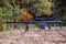Sniper rifle Barrett M82