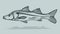 Snook fish drawing clip art