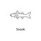 snook icon. Element of marine life for mobile concept and web apps. Thin line snook icon can be used for web and mobile. Premium i