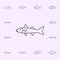 snook icon. Fish icons universal set for web and mobile