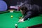 Snooker player, Ronnie O\'Sullivan