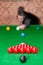 Snooker player starting game