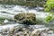 Snoqualmie River Whitewater Rapids 10