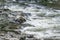 Snoqualmie River Whitewater Rapids 2