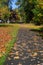 Snoqualmie Valley Trail on a sunny fall day, fallen maple leaves scattered on wide gravel path