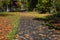 Snoqualmie Valley Trail on a sunny fall day, fallen maple leaves scattered on wide gravel path