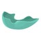 Snoring mouthguard icon cartoon vector. Dental protect