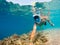 Snorkel swim in shallow water with coral fish, Red Sea, Egypt