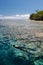 Snorkeler Drifting Over Coral Reef Drop Off in Palau