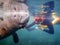 A snorkeler man swimming close to a manatee in Crystal River, Florida.