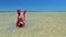 Snorkeler in Shark bay