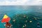 Snorkeling on the Great Barrier Reef. Port Douglas. Queensland. Australia