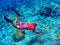 Snorkeling man dives to sea bottom. Young coral reef in deep blue water