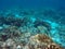 Snorkeling near tropical island - underwater view with sea bottom sand and coral reef