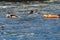 Snorkeling swimming with sea lion los cabos cortez sea