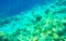 Snorkeling underwater views fish Corals turquoise water Rasdhoo island Maldives