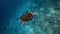 Snorkeling on wildlife. Sea turtle slowly swiming in blue water through sunlight. Underwater serene swiming beautiful