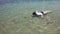 Snorkeling woman, archipelago Bocas del Toro, Panama