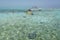 Snorkelling and stingrays Belize