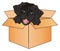 Snout of black puppy in box