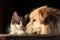 Snouts of a cute dog and cat sitting cheek to cheek in a close-up shot