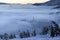 Snovy trees on winter mountains.