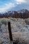 Snow accumulation on winter tree branches and fence posts in desert valley