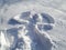 Snow angel design made in fresh, deep snow, by lying on back and moving arms up and down, and legs from side to side
