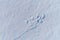 Snow angel`s print on a snowcovered area. Aerial foto.