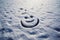 Snow_background_Texture_of_wet_snow_with_a_1690445805860_2