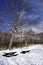 Snow and bench in the walkway forest Noboribetsu onsen