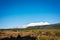 Snow blanketed range of Mt Ruapehu dominate over rural landscape with green fields and distant forest. Tongariro