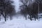 Snow Blizzard on City Street, Neighborhood