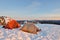 Snow Camping on Mount Seymour First Pump Peak