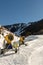 Snow cannons along the route to the ski resort