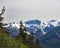 Snow capped Alaska mountain range through pine trees