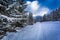 Snow capped forest paths on a mountain trail