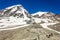 Snow capped Himalayan mountains towering above horses grazing