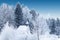 Snow-capped little wooden chapel in frosty winter forest