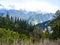 Snow capped mountain & forest in Naran Kaghan valley, Pakistan