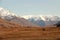 Snow capped mountains, autumn grass