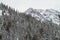 Snow-capped Mountains Beyond Snowy Evergreens