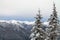 Snow-capped Mountains Beyond a Two Snowy Evergreens