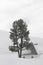 Snow-capped mountains, house and tree.