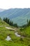 Snow capped mountains and wildflowers