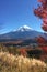 Snow capped mtfuji tokyo s tallest volcano amidst autumn red trees, picturesque nature landscape