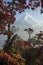 Snow-capped peak framed by red flowers