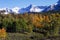 Snow Capped Peaks and Golden Aspen in Southwest Colorado