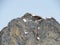 Snow-capped stone alpine peak Moor 2342 m in the Alpstein mountain range and in Appenzell Alps massif