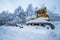 Snow cleaning bulldozer.